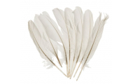Husie perie, biele, 16 - 20 cm, 8 ks