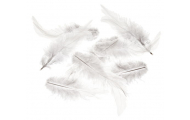 Perie biele, cca. 9 - 15 cm, cca. 15 ks