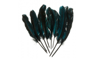 Husie perie, čierne, 16 - 20 cm, 8 ks
