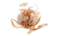 Kohútie perie, 4 - 8 cm, červenohnedá, 3 g