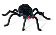 Knísavý pavúk so svietiacími očami, 1 ks
