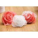 photogallery-item