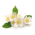 photogallery-item