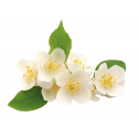 photogallery-item