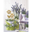 photogallery-item