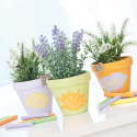 photogallery-item