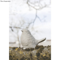 photogallery-item