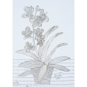 photogallery-item