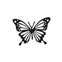 photogallery-item