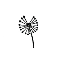 photogallery-item