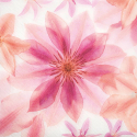 photogallery-item