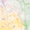 photogallery-item