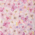 photogallery-item