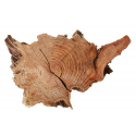 photogallery-item