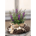 photogallery-item